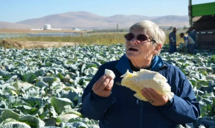 Prof. Dr. Canan Karatay: Kışın Tüketirseniz Sağlığa Müthiş Faydaları Var!