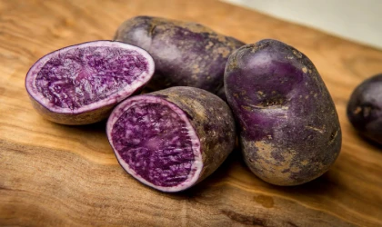 Sivas Cumhuriyet Üniversitesi'nden Mor Şifa: Mor Patates Hasadı Başladı!