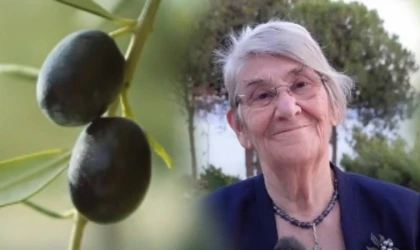 Tam mevsiminde zeytinyağı alacaklar bu önerileri dikkate almalı. İşte Canan Karatay'ın zeytinyağı önerisi.