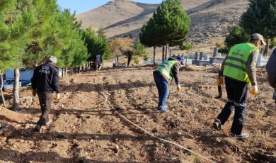 Zelyurt: 39 mahallemizin tüm mezarlıklarında hummalı bir çalışma gerçekleştiriyor