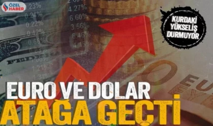 Dolar yükselecek mi? Türk lirası değerlenecek mi?