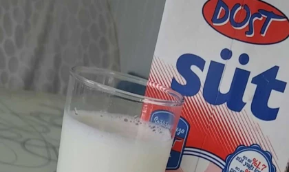 DOST SÜT KİMİN? Boykot devam ediyor: Dost Süt sahibi kim?