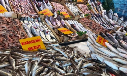 Kasım ayı balıkları nelerdir? Kasım ayında hangi balıklar yenir?