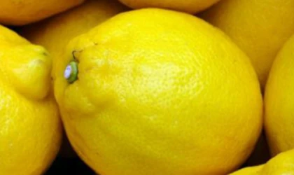 Limon nasıl saklanmalı?