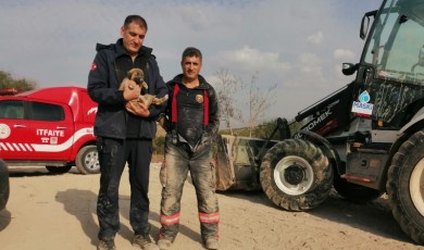 Malatya'da, enkaz altında kalan köpek, 2 saat süren bir çalışma sonrasında böyle kurtarıldı!