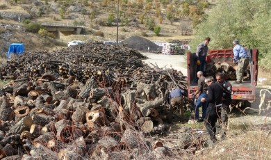 Malatya'da, mevsimlik işçiler, ekmek parası için her türü zorluğa katlanıyor!