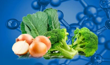 Sağlığınız İçin Etkili Olan Doğal Molekül ve En Zengin Olduğu 5 Besin!