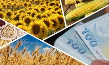 Tarımsal destek ödemeleri artırıldı!