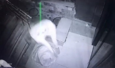 Deprem Bölgesi Malatya'da hasarlı binalarda hırsızlık bitmiyor!