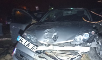 Yağmurda kayganlaşan yol kazaya neden oldu