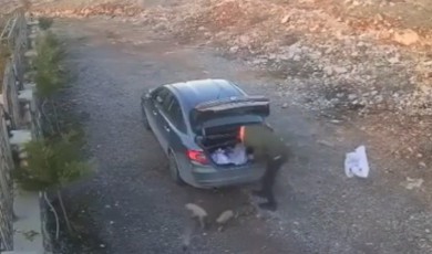 Malatya’da Vicdansızlık: Çuvala Dolan Yavru Köpekler Terk Edildi!