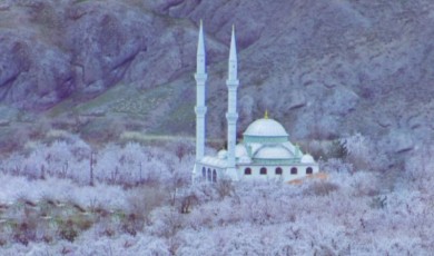 Malatya’nın Baharı Ve Bir Biji Masalı