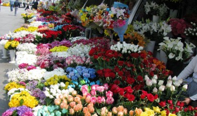 Çiçekçiler de Bir Depremzede: Malatya Esnafından Belediye Başkanlarının Yardım Çağrısına Tepki