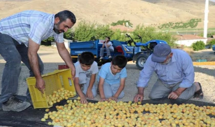 Malatya Çiftçilerine Müjde: Bugün Hesaplarda!