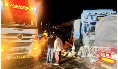 Malatya’nın Doğanşehir İlçesi'nde Yem Yüklü Tır Devrildi