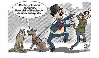 Sevgi BERK / Sadık Köpekler, Sadık Sahipler: Bir İroni Hikayesi