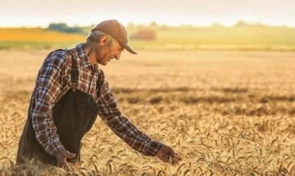 Tarımsal Üretim Kredilerinin Esasları Belirlendi