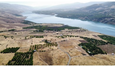 Malatya Pütürge’de Elektrik Tellerinden Çıkan Yangın: Kayısı Bahçeleri Tehlikede!