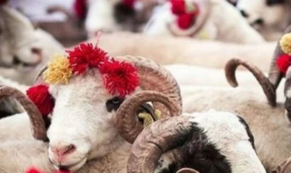 Uzmanı Uyardı! Kurban Etlerini Böyle Saklayın