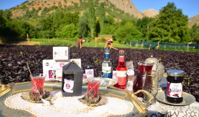 Alişan HAYIRLI / Reyhan Cenneti: Arapgir