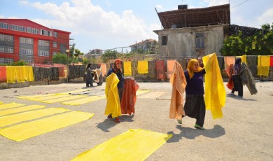 Alişan HAYIRLI / Tecde’de Dut Pestili Mevsimi