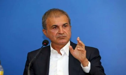 Çelik: Bu Katliam Yasası Değildir