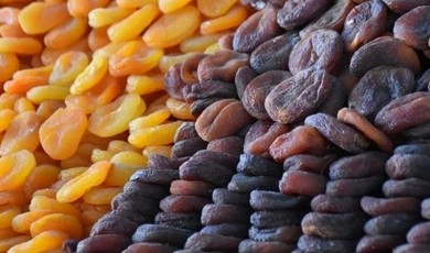 Malatya'da Kayısı Üreticileri Öfkeli: Kasa Kasa Kayısıları Dağa Taşa Döktüler
