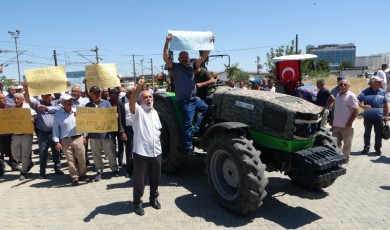 Malatyalı Kayısı Üreticileri Zor Günler Yaşıyor! TMO Alım Yapacak Mı?
