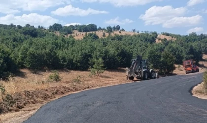 Hekimhan'da Yollar Yenileniyor: Asfaltlama ve Bakım Çalışmaları Tamam!