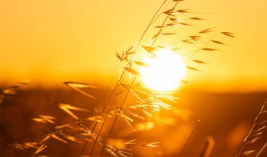 Yeterince Güneş Işığı Alamamak D Vitamini Eksikliğini Tetikliyor