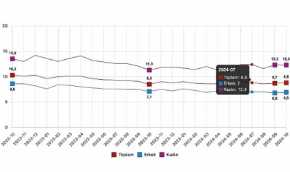 TÜİK: Ekim 2024’te İstihdam Artarken, İşsizlik Oranı %8,8’de Sabit Kaldı