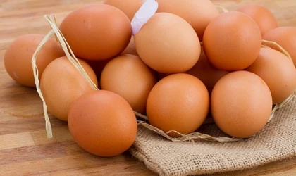 Yumurta İhracatına 1,5 Dolar Kesinti! Sektör Zarar Görüyor!