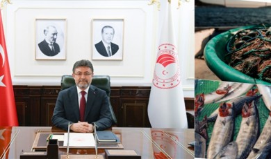 Balıkçılıkta Tarihi Sezon Geride Kaldı