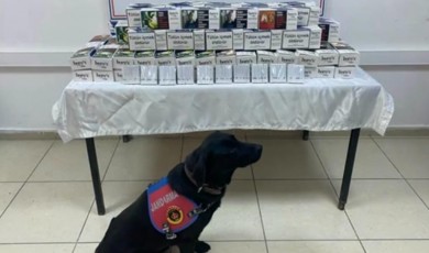 Binlerce Kaçak Makaron: Zehirle Gelen Tutuklama...