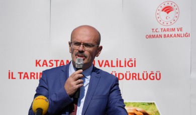 Kiraz Dondu, Kayısı Yok Oldu: Çare Örtü Altı Üretimde