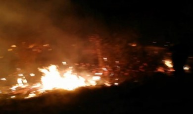 Malatya Darende’de Sazlık Alanda Korkutan Yangın!