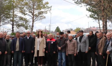Malatya Kayısısına Komşu Destek! Sivas’ta Kayısı Seferberliği Başladı
