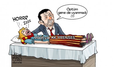 Sıfır Tuğla, Tam Sayfa Reklam