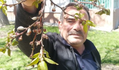 Tarımsal Afet Darende’yi Vurdu: Üretici Yıkıldı