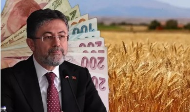 Tarımsal Destekleme Ödemeleri Başladı: 6,7 Milyar TL Çiftçilerin Hesaplarında!