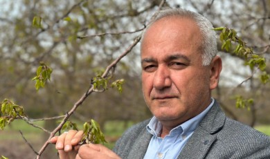 Zirai Don Malatya’yı Yıkıyor! 74 Yaşındaki Çiftçi "Böylesini Görmedim" Dedi