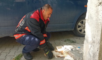 Bir Can Daha Kurtarıldı! Malatya’da Yürekleri Isıtan Kurtarma Operasyonu