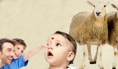 Kurban Kanı Alna Sürülür mü?