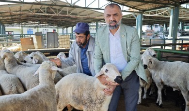 Kurban Pazarı Sessiz! 13 Bin TL'den Başlayan Fiyatlarla Kurbanlık Var Ama Alıcı Yok!