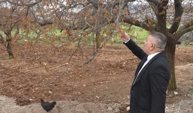 Malatya Çiftçisi Borçla Baş Başa Bırakıldı
