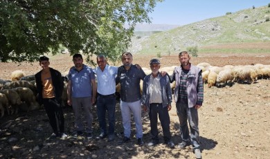 Malatya'da Yayla Göçü Başladı! 16 Saatlik Zorlu Yolculuk Sürüyor