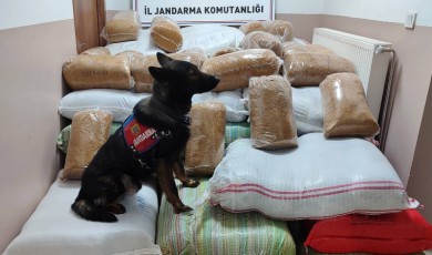 Otobüste Tütün Taşıyanlara Jandarma Geçit Vermedi