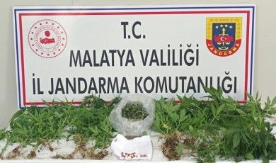 Sentetik Hap, Esrar, Kenevir... Malatya’da Nefes Kesen Operasyon!
