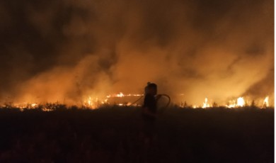 Esenbey’de Yangın Paniği: 25 Ağaç Etkilendi
