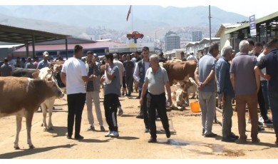 Malatya’da Kurbanlıklar Pahalı Gelince Talep Düşük Kaldı